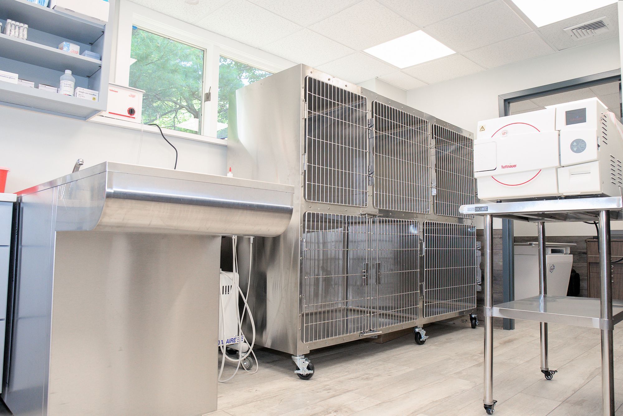 HighQuality Vet Hospital in Newtown, CT Pet Town Veterinary